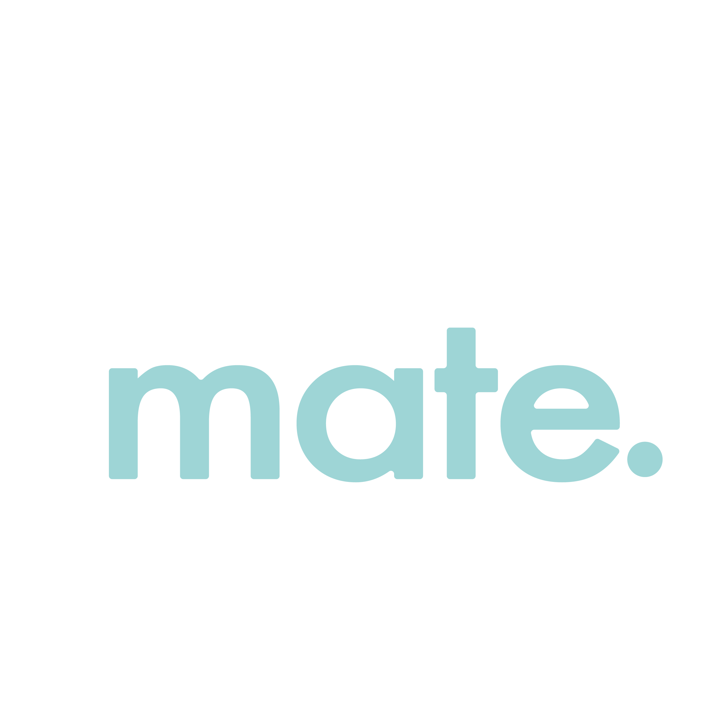 Vacmate